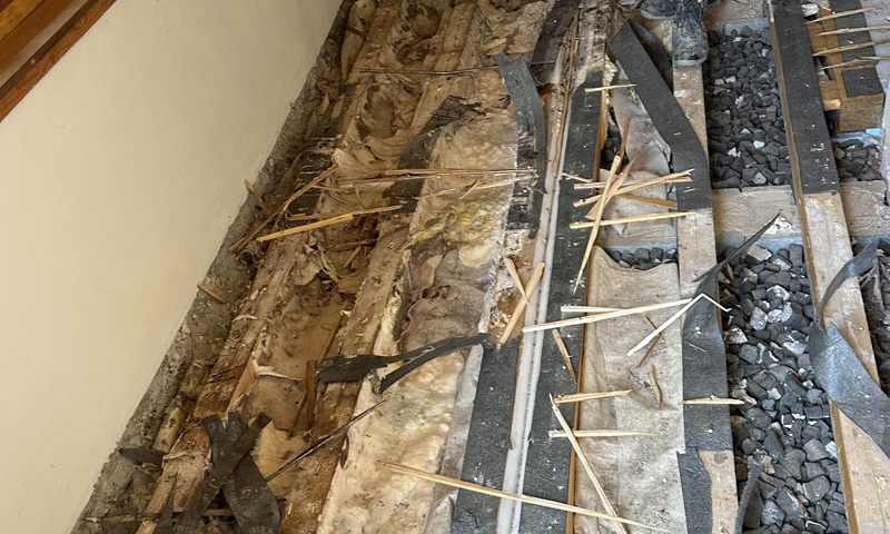 Likvidace dřevomorky ve sklepních prostorech