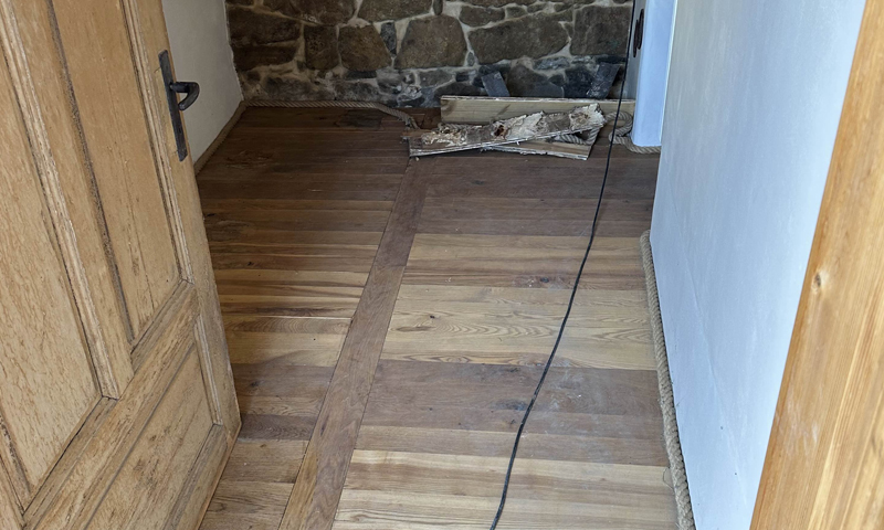 Odstraňování plodnic dřevomorky domácí