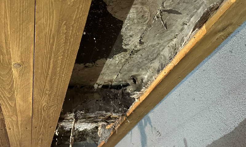 Likvidace dřevomorky ve stropních konstrukcích