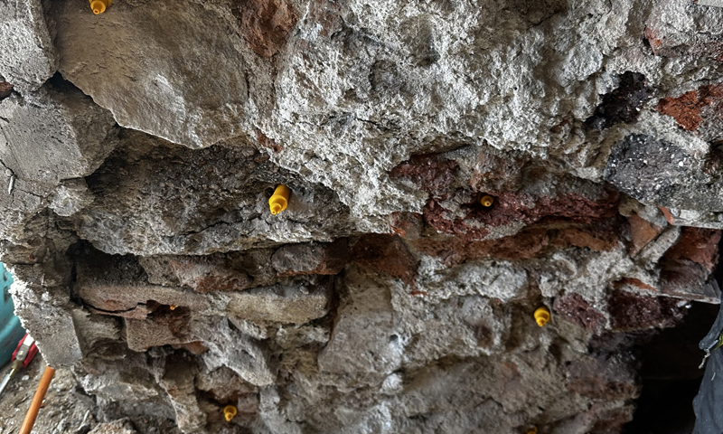 Boj s dřevomorkou v interiéru