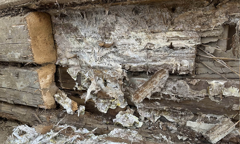 Sanace dřevomorky na rekreační chalupě