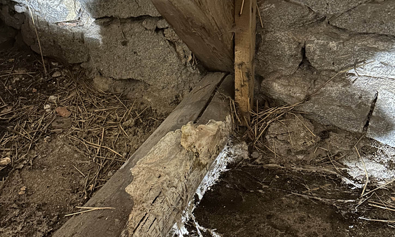 Ochrana dřevěných konstrukcí před houbami