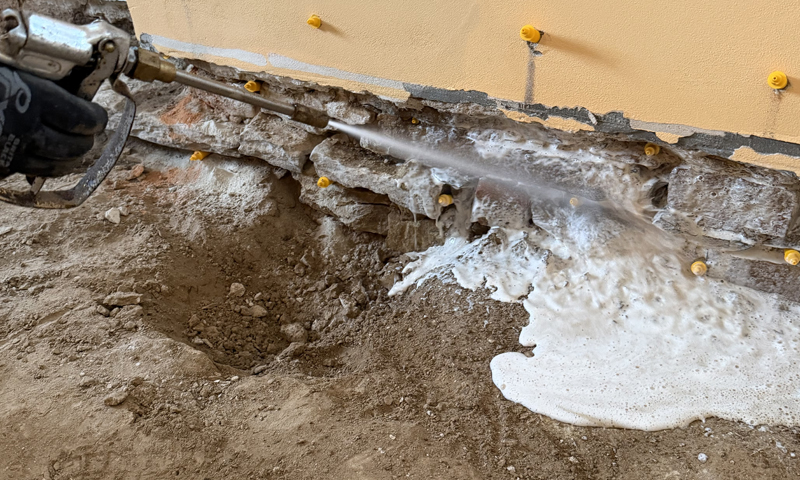 Komplexní likvidace dřevomorky v rodinném domě