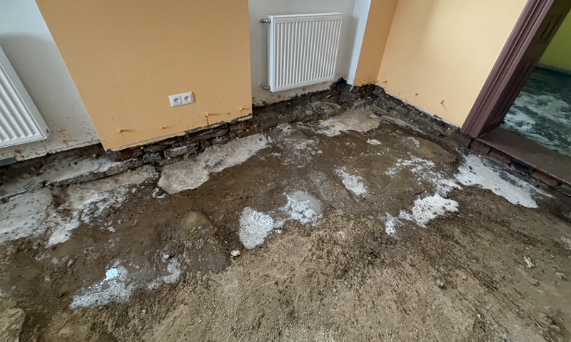 Mikrovlnné vysoušení dřeva a likvidace hub