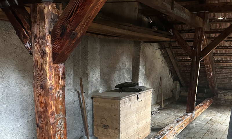 Likvidace dřevokazných škůdců v historických budovách