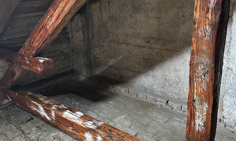 Preventivní ochrana starožitných trámů a dřeva