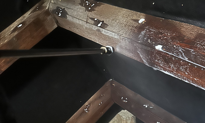 Likvidace tesaříka krovového a sanace dřeva