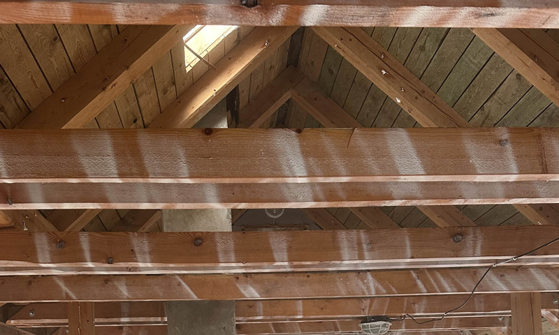 Chemický nástřik krovu proti tesaříkovi