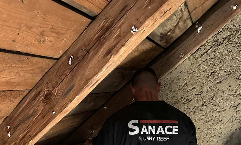 Sanace dřevěnice proti červotočům