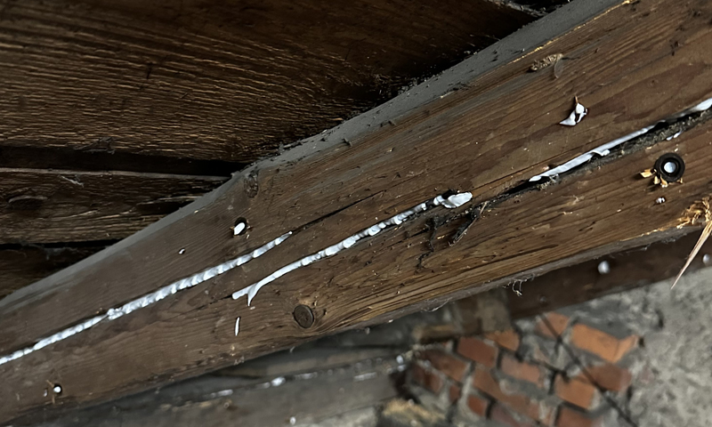 Likvidace tesaříka v krovu rodinného domu