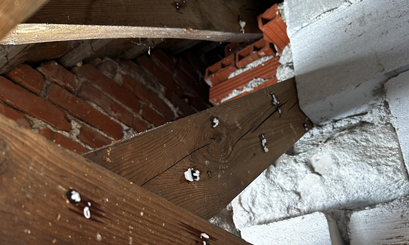 Boj proti dřevokaznému hmyzu v domě