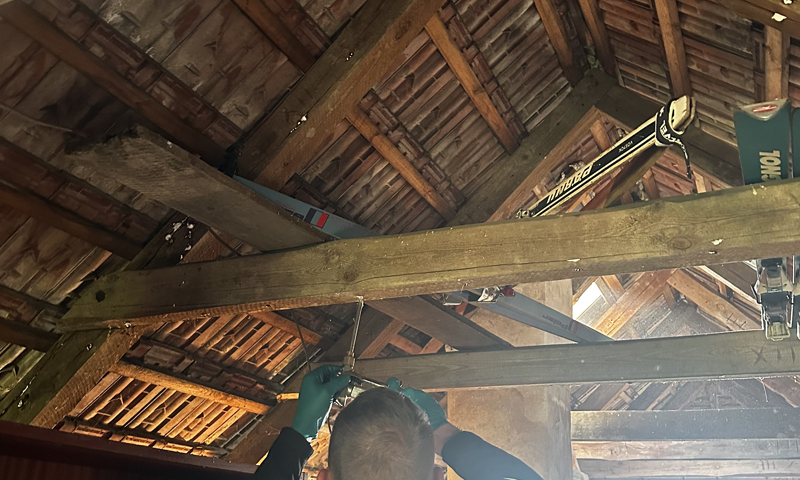 Gelová impregnace dřeva proti škůdcům