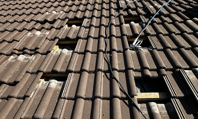 Odstranění červotoče z trámů