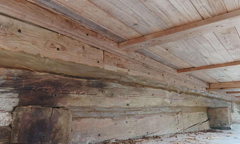 Renovace a chemická ochrana trámů