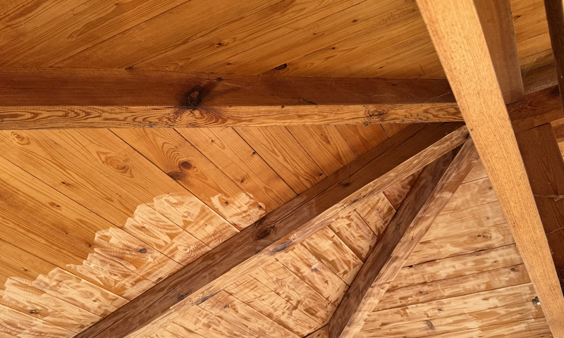 Sanace dřeva nátěrem