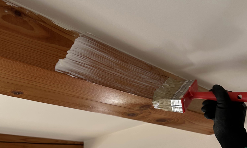 Sanace srubu svépomocí vs profi