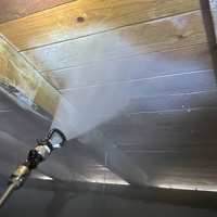 Likvidace dřevokazných škůdců