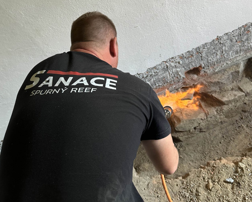 Likvidace dřevomorky