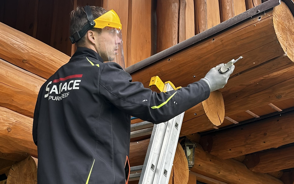 Sanační firma specializující se na likvidaci dřevokazných škůdců a památkově chráněné objekty.